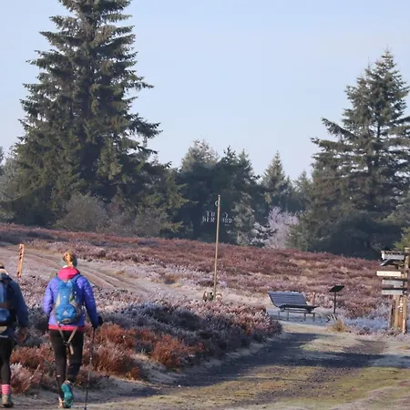 Apartment Café Alt Willingen (Upland)