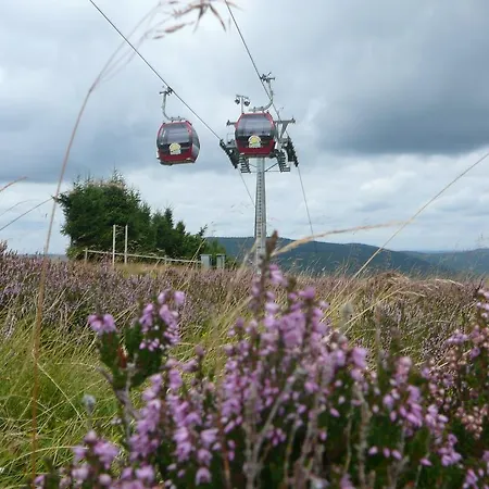 Cafe Alt Willingen (Upland)