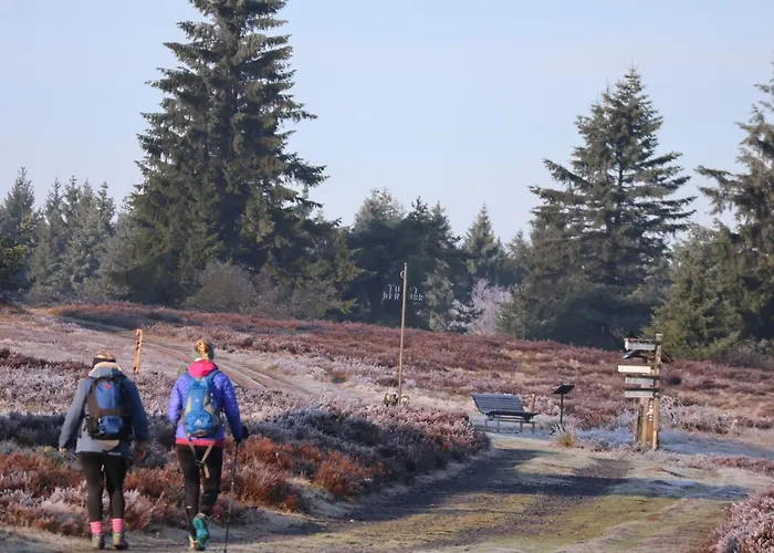 Appartement Café Alt Willingen (Upland)