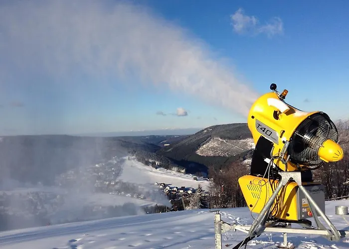 Café Alt Apartment Willingen (Upland)