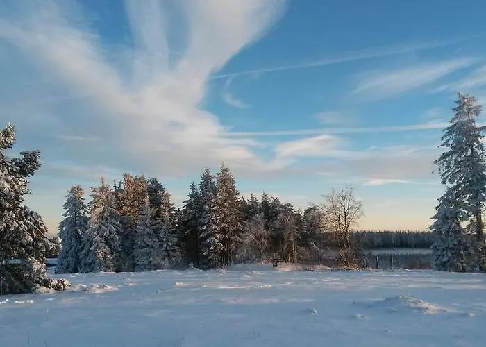 Café Alt Appartement