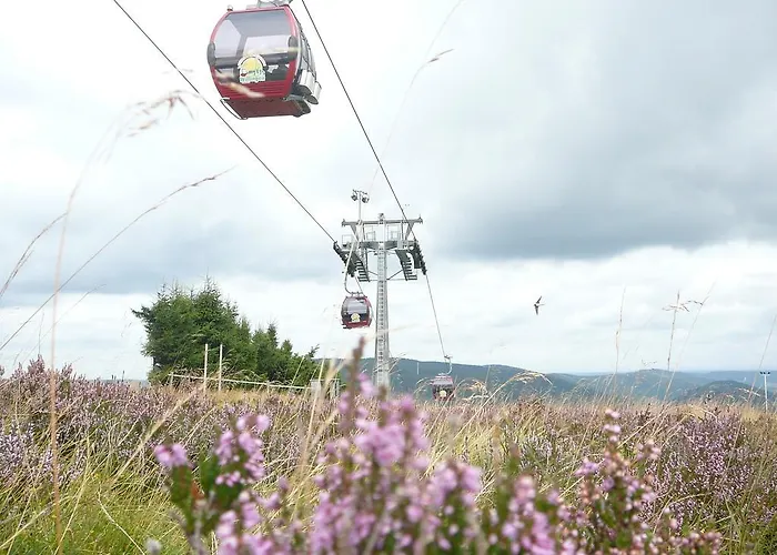 Apartment Café Alt Willingen (Upland)