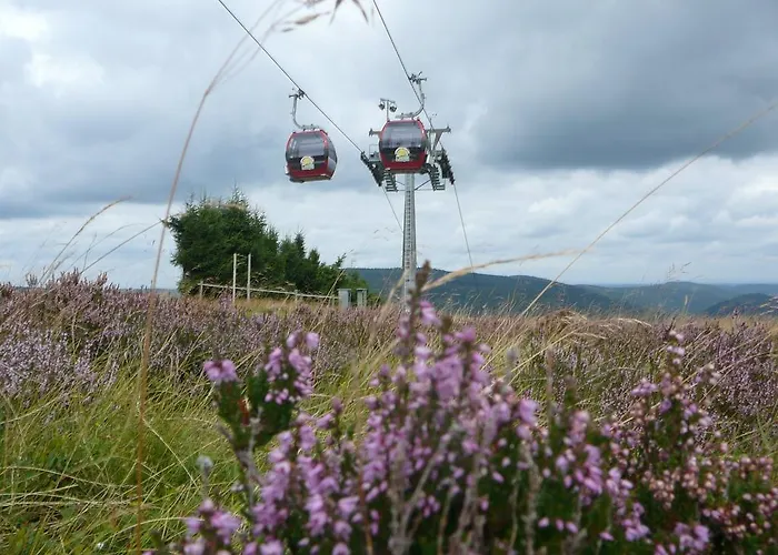 Café Alt Willingen (Upland)