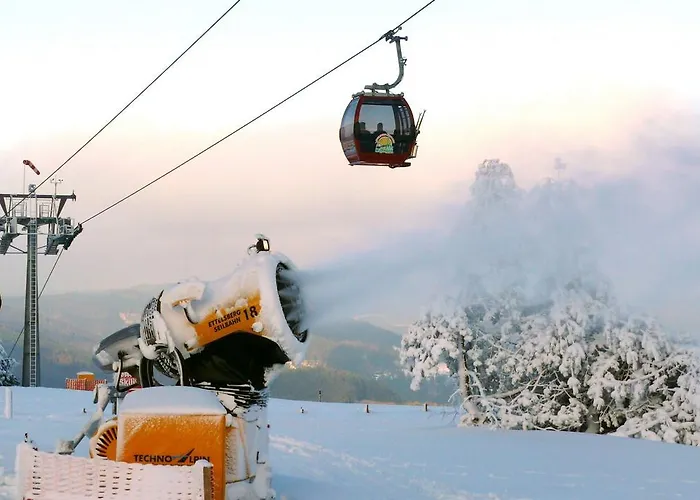 Café Alt Apartment Willingen (Upland)