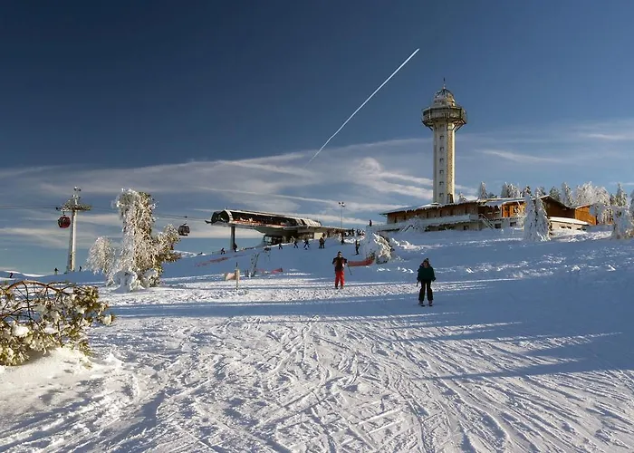 Café Alt Apartment Willingen (Upland)
